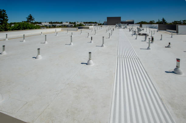 Best Steel Roofing  in Pocono Woodland Lakes, PA